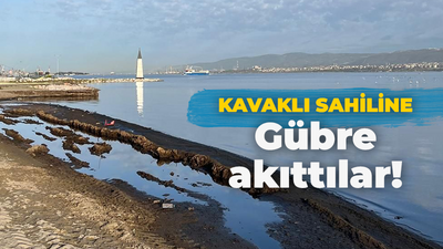 Gölcük Kavaklı Sahilini gübreye buladılar!