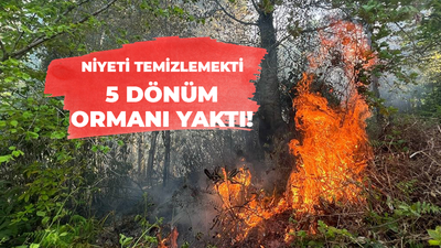 Niyeti temizlemekti 5 dönüm ormanı yaktı!