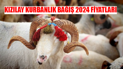 KARNE GÜNÜ TARİHİ 2024 MEB: Okulun Kapanmasına Kaç Gün Kaldı 2024? MEB Okullar Ne Zaman Kapanıyor? Karne Günü Ne Zaman?