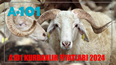 A101 KURBANLIK FİYATLARI 2024 LİSTE AÇIKLANDI! A101 Karaman Koç / Büyükbaş Kurbanlık Fiyatı Ne Kadar? A101 Kurban Taksitle Alınır Mı?