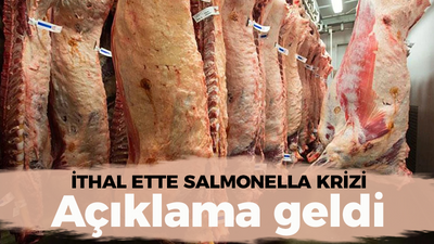 İthal etlerde salmonella çıkmıştı... Et ve Süt Kurumu olayla ilgili açıklama yaptı!