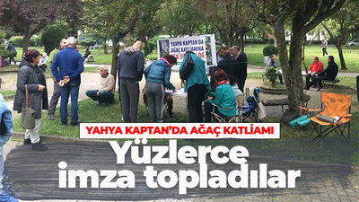 Yahya Kaptan’daki usulsüz ağaç kesimi için yüzlerce imza topladılar