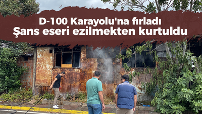 D-100 Karayolu'na fırladı, şans eseri ezilmekten kurtuldu