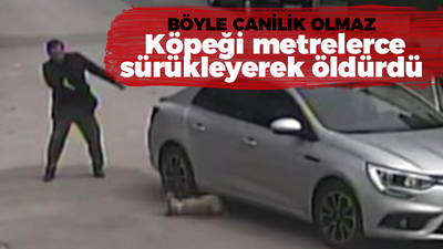 Böyle canilik olmaz: Köpeği metrelerce sürükleyerek öldürdü