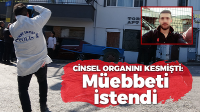 Ağabey'in cinsel organını kesmişti: Müebbet istendi