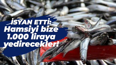 Adeta isyan etti: Hamsiyi bize 1.000 liraya yedirecekler!