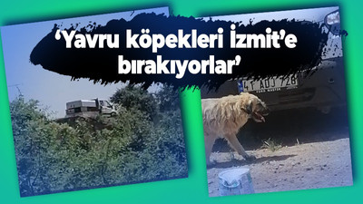 Bayraktar muhtarı Kartepe Belediyesi'ne kızgın! İzmit sınırına köpek bırakılıyor