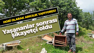 Hobi olarak arıcılık yapıyordu! Yaşananlar sonrası şikayetçi oldu