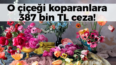 O çiçeği koparanlara 387 bin TL ceza!