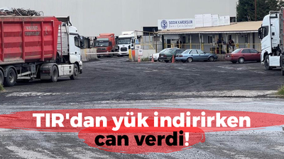 TIR'dan yük indirirken can verdi!