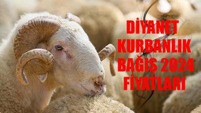 DİYANET KURBANLIK BAĞIŞ 2024 FİYATLARI: Diyanet İşleri Başkanlığı Kurbanlık Bağış Fiyatları GÜNCEL! Yurt İçi / Yurt Dışı Kurbanlık Fiyatı