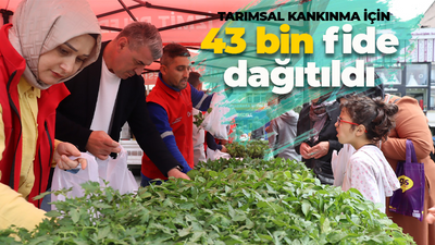 Tarımsal kalkınmaya destek! İzmit Belediyesi 43 bin fide dağıttı