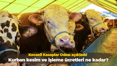 Kocaeli Kasaplar Odası açıkladı! Kurban kesim ve işleme ücretleri ne kadar?