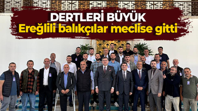 Dertleri büyük! Ereğlili balıkçılar meclise gitti