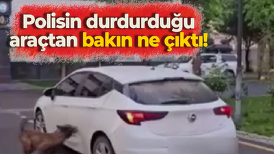 Polisin durdurduğu araçtan bakın ne çıktı!