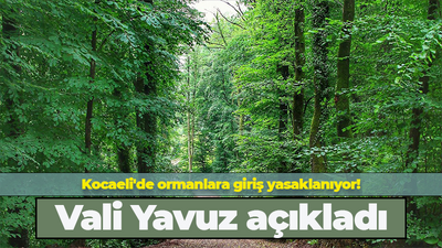 Kocaeli'de ormanlara giriş yasaklanıyor! Vali Yavuz açıkladı