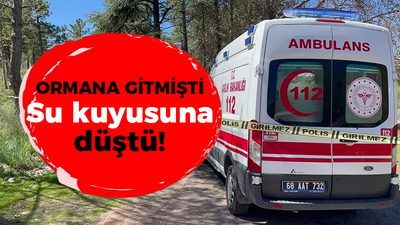 Ormana gitmişti! Su kuyusuna düştü