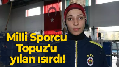 Milli Sporcu Topuz'u yılan ısırdı!