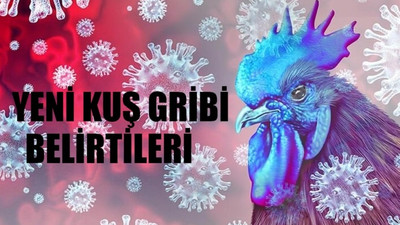 YENİ A(H5N2) KUŞ GRİBİ ALARMI SON DAKİKA: Kuş Gribi Nasıl Bulaşır? Kuş Gribi Öldürür Mü? Kuş Gribi Belirtileri