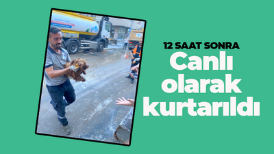 12 saat sonra canlı olarak kurtarıldı!