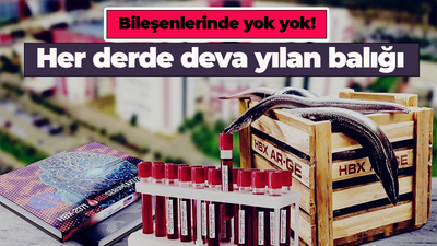 Bileşenlerinde yok yok! Her derde deva yılan balığı