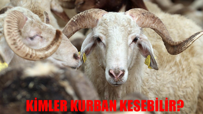 KURBAN KESMENİN ŞARTLARI 2024: Diyanet Kurban Kesmek Vacip Mi Yoksa Farz Mı? Kurban Kimlere Düşer?