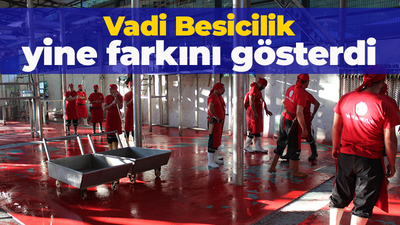 Vadi Besicilik yine farkını gösterdi