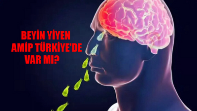 BEYİN YİYEN AMİP NEDİR? Beyin Yiyen Amip Nasıl Bulaşır? Beyin Yiyen Amip Türkiye'de Var Mı? Beyin Yiyen Amip Belirtileri