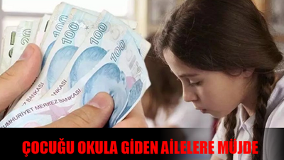 ÇOCUĞU OKULA GİDEN AİLELERE 6545 TL DESTEK MÜJDESİ: Çocuğu Okula Giden Ailelere Destek e-Devlet Başvuru Ekranı