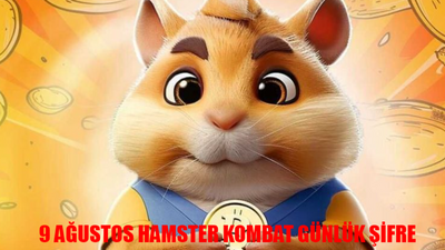 HAMSTER KOMBAT GÜNLÜK ŞİFRE 9 AĞUSTOS 2024 CUMA: Hamster Kombat Günlük Kombo Kartları! Hamster Kombat Daily Combo 9 August