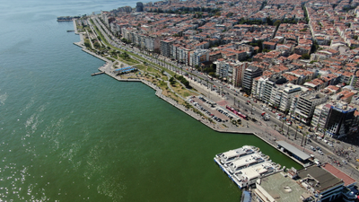 İzmir Körfezi'nde kıyılar ölü balıkla dolu!