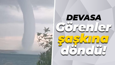 Görenler şaşkına döndü! Devasa...