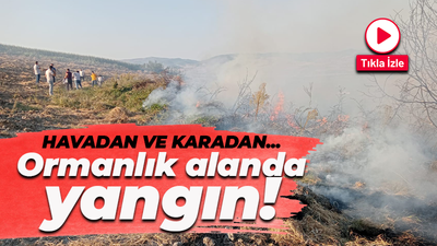Ormanlık alanda korkutan yangın! Havadan ve karadan...