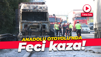 Anadolu Otoyolu'nda feci kaza! Alev topuna döndüler