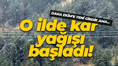 O ilde kar yağışı başladı!