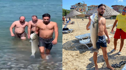 Denizde tuhaf olay! Eliyle 7 kiloluk levrek yakaladı