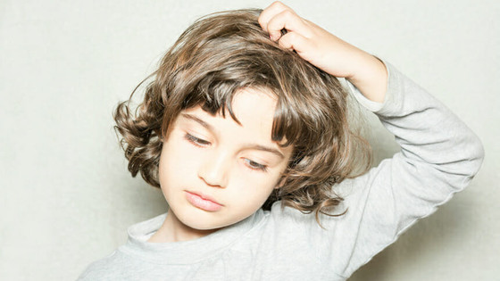 Bit nasıl bulaşır, nasıl temizlenir?