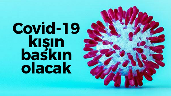 Covid-19 kış döneminde baskın olacak
