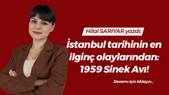 İstanbul tarihinin en ilginç olaylarından: 1959 Sinek Avı!