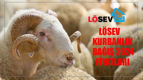 LÖSEV KURBANLIK BAĞIŞ 2024 FİYATLARI BELLİ OLDU: LÖSEV Kurbanlık Bağış Nasıl Yapılır? Her Kurban Lösemili Çocuklara Can LÖSEV Kurban Bağış Yap