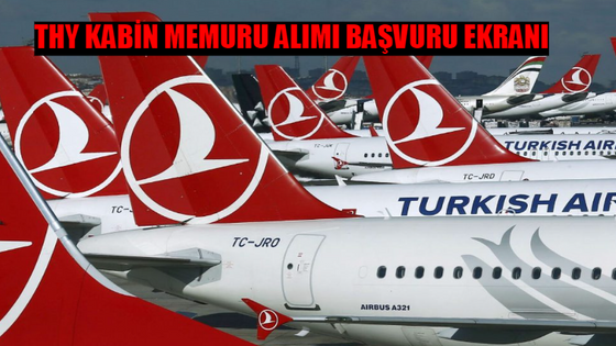 THY KABİN MEMURU ALIMI BAŞVURU EKRANI 2024: THY Kabin Memuru Alımı Başvuru Nasıl Yapılır? THY Kabin Memuru Başvuru Şartları