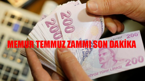 2024 TEMMUZ MEMUR ZAMMI SON DAKİKA NETLEŞTİ: En Düşük Memur Maaşı Hesaplandı! Öğretmen, Memur, Polis, Avukat, Hemşire Memur Temmuz Zammı