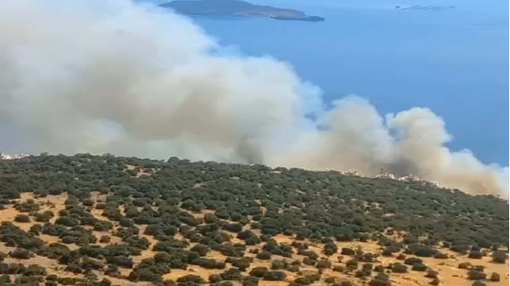 İzmir'de yangın Havadan Ve karadan müdahale