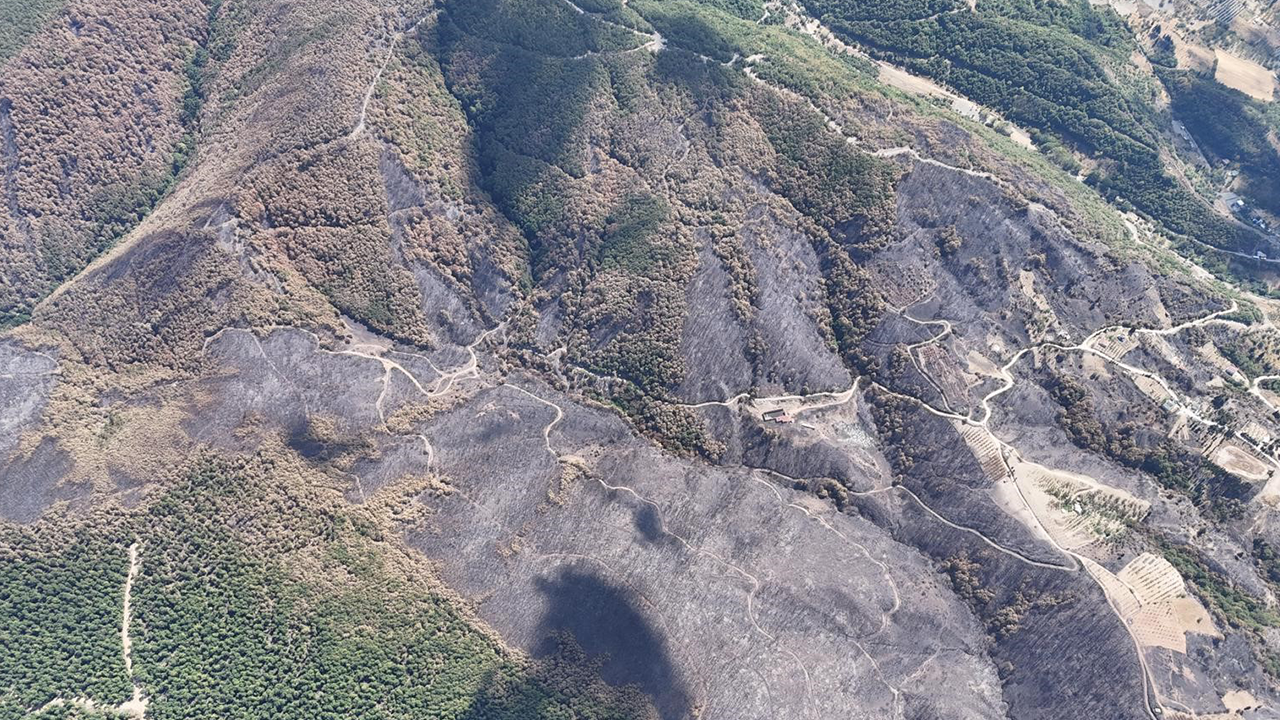 Karamürsel'de acı manzara: Yangının tahribatı gözler önüne serildi! - Resim : 1