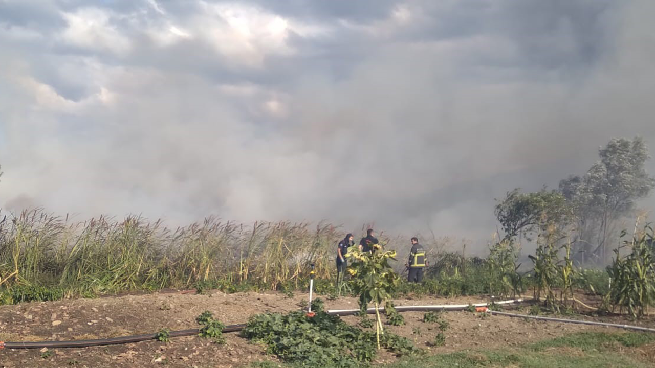 Kocaeli'de sazlık alanda korkutan yangın - Resim : 1