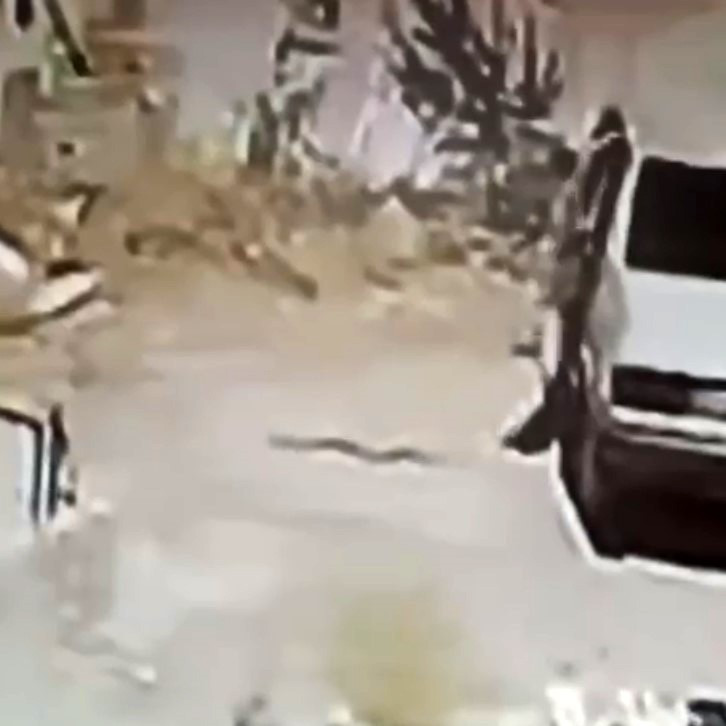 Seyir halindeki araçta yılan paniği! Hareket halindeyken indi - Resim : 3