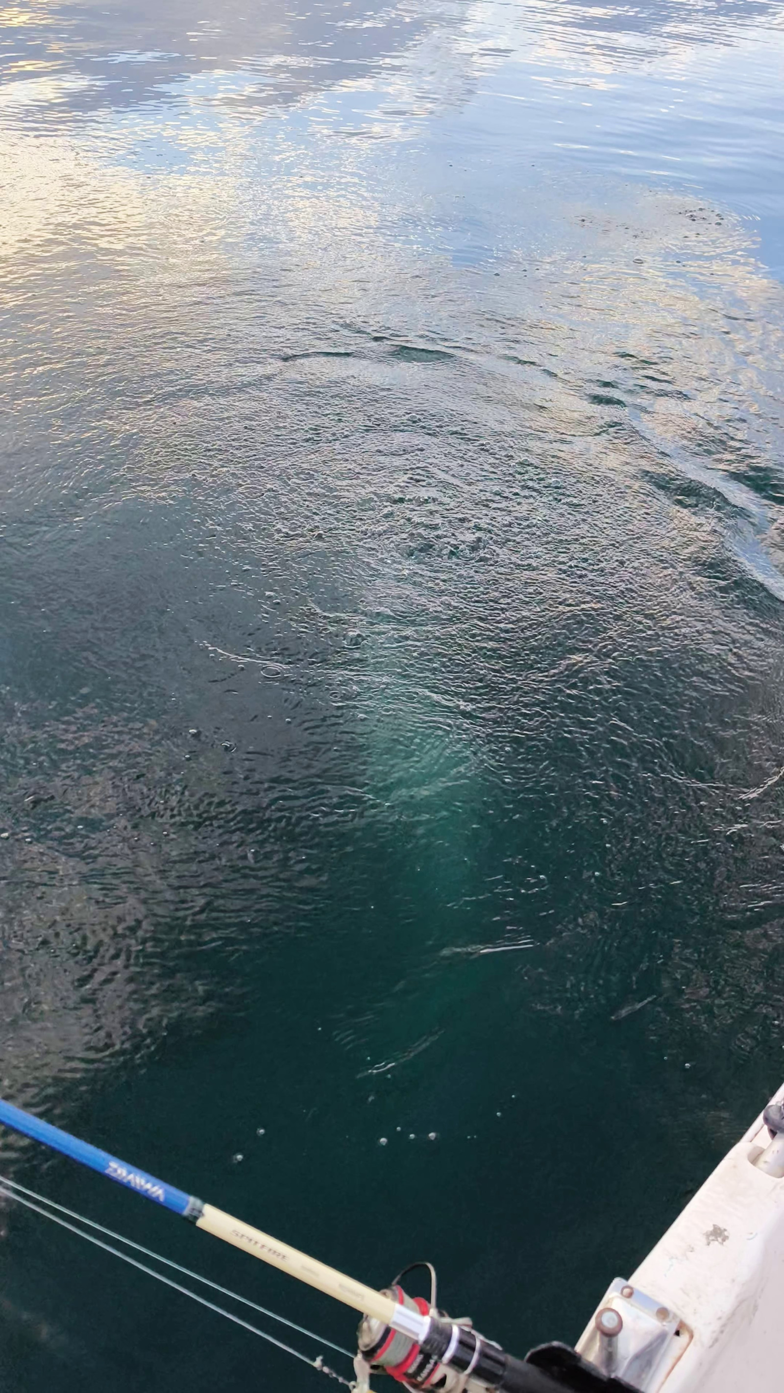 Sapanca Gölü'nde hayrete düşüren görüntü! - Resim : 2