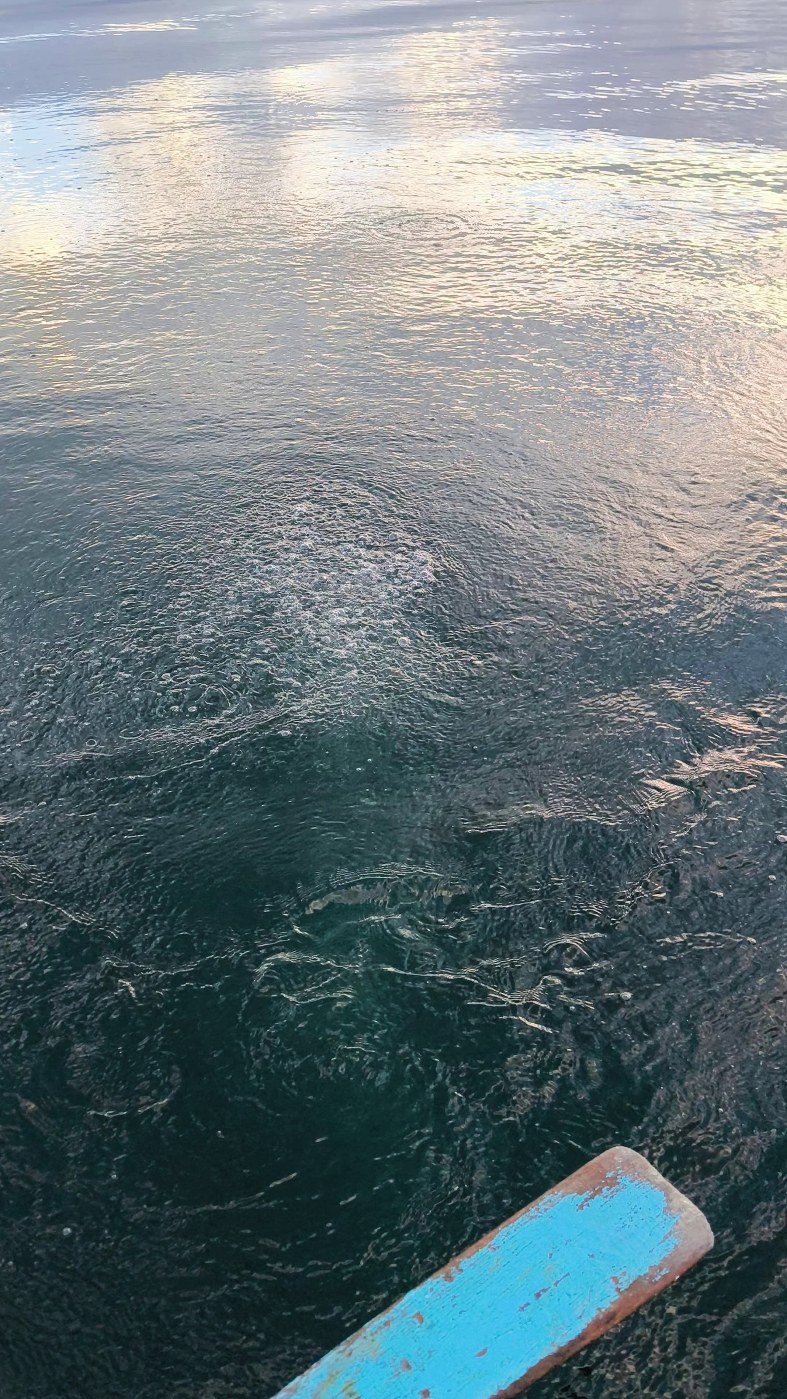 Sapanca Gölü'nde hayrete düşüren görüntü! - Resim : 3